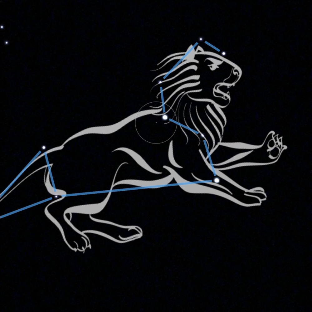 Meet your Posher, Shereef